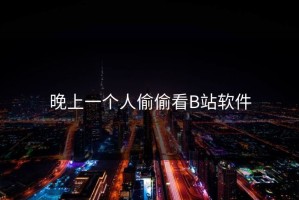 晚上一个人偷偷看B站软件