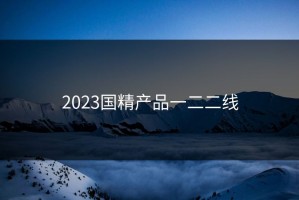2023国精产品一二二线