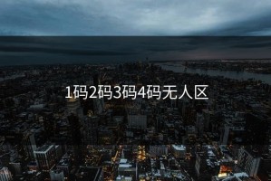 1码2码3码4码无人区