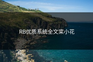RB优质系统全文寀小花