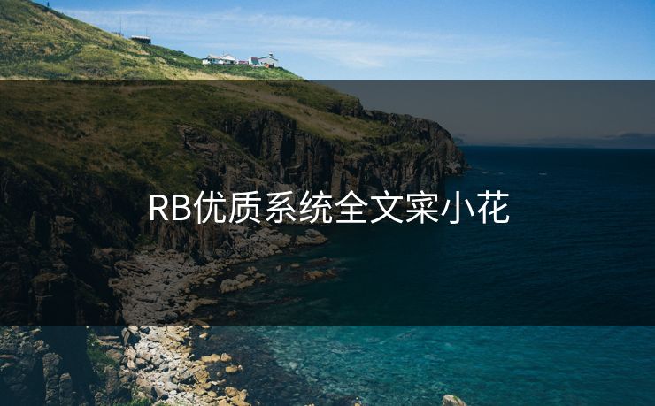 RB优质系统全文寀小花